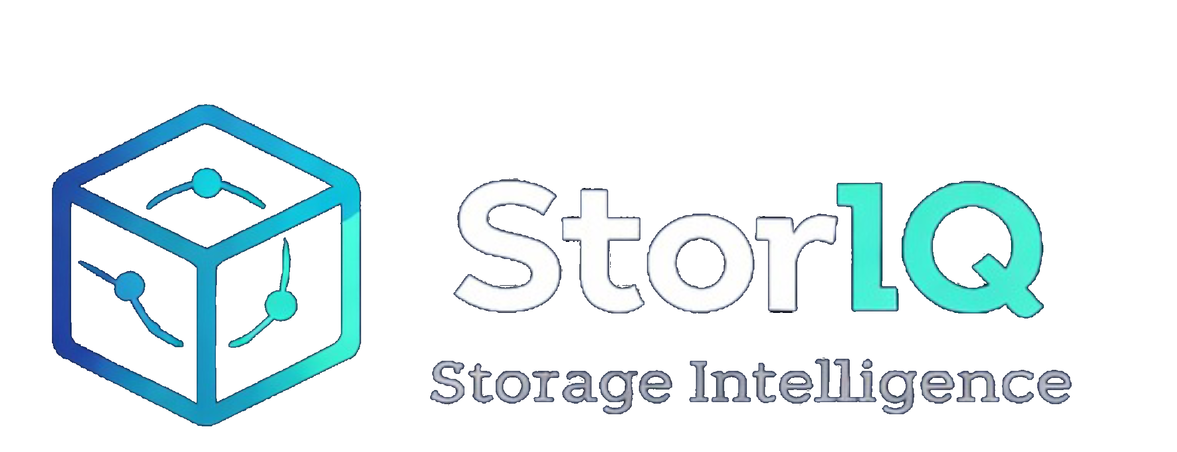 StorIQ